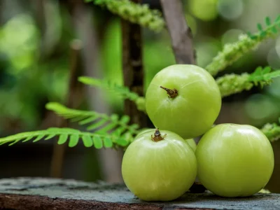 indian-gooseberry-phyllanthus-emblica-fruits-nature_1200x1200